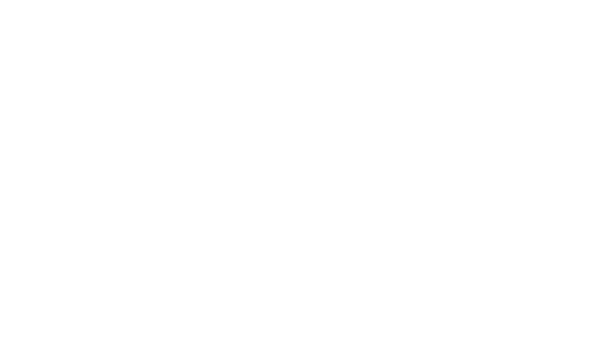 oginistore.com